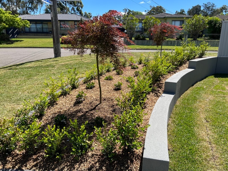 Landscaping Project 13