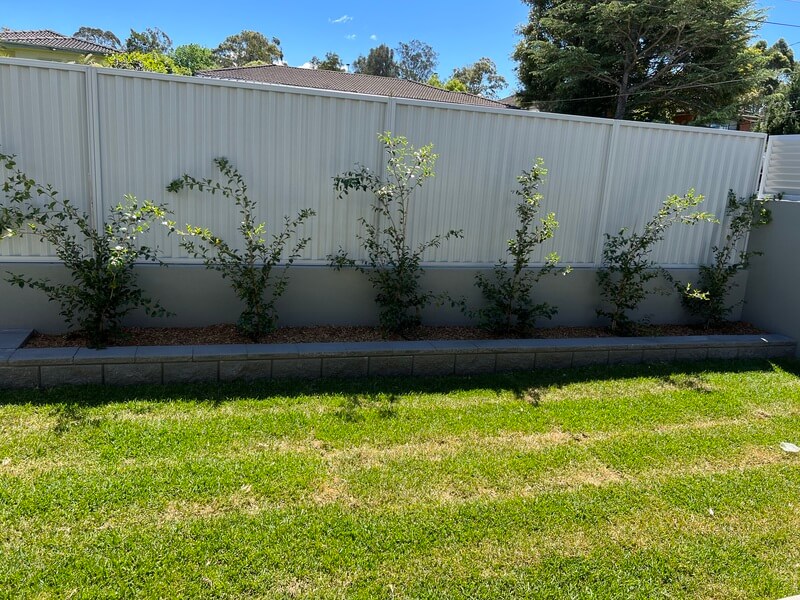 Landscaping Project 15