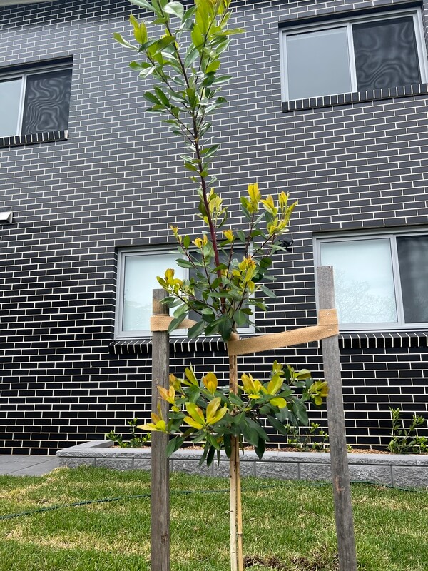 Landscaping Project 18