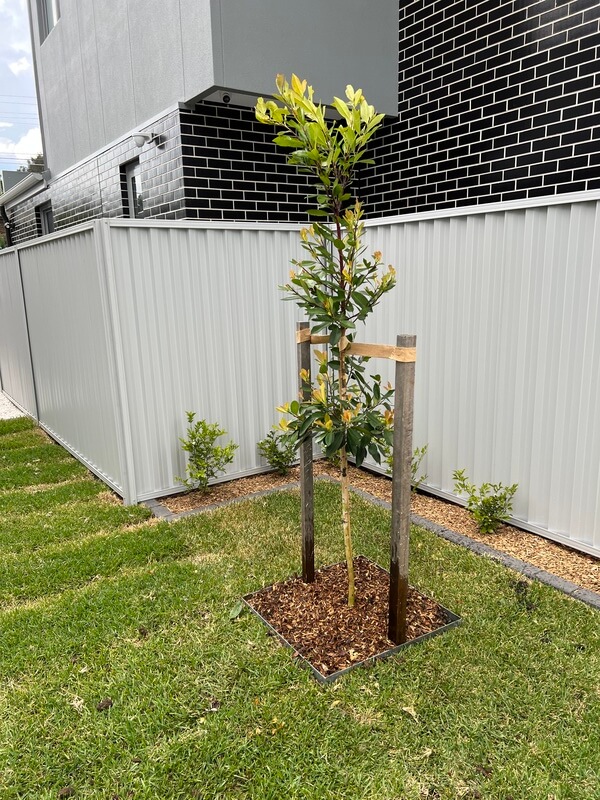 Landscaping Project 19