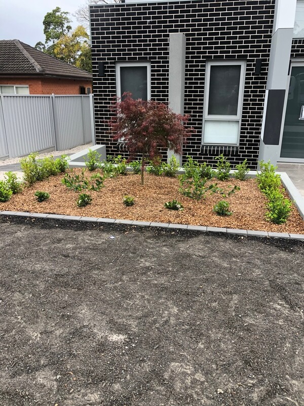 Landscaping Project 8