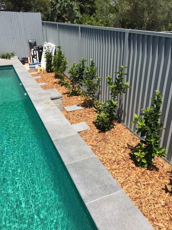 Swimming Pool Construction 18